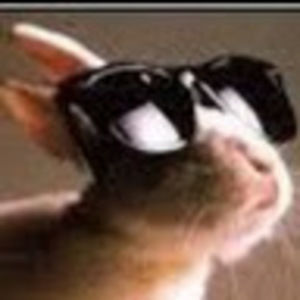 Meet your Posher, Cressa